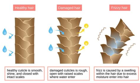 Heat Damage .